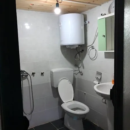 Guesthouse Bjekshet E Nemura * Lepushe